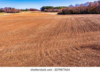 A Farm Field Has Been Harvested And Plowed And Now Lies Fallow For Winter.