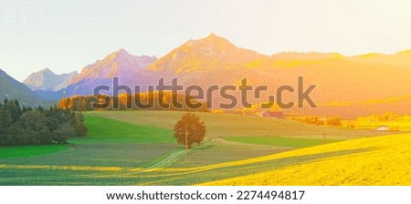 Farm field landscape. Spring hill background. Green countryside meadow, grass and trees in forest. Alps land mountain view. nature sunlight, scenery sun, blue sky sunny day, outdoor beauty of summer