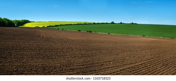 Farm Field Lines Of Arable Land And Rapeflowerfield Landscape