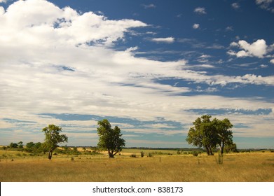 Farm Field. Uruguay