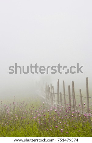 Similar – Image, Stock Photo Misty November Environment