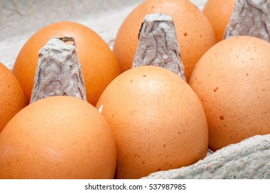 Farm Fresh Chicken Eggs In Cardboard Carton, Ready For Stocking On Supermarket Shelves.