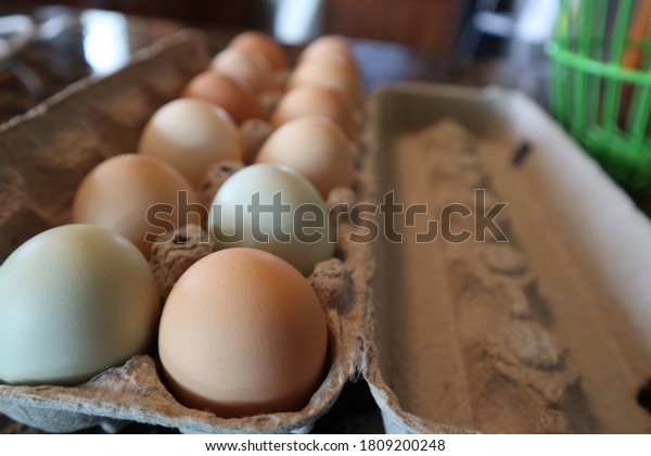 Eggs li chun