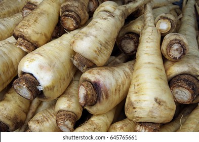 8,519 Parsnip Plant Images, Stock Photos & Vectors | Shutterstock