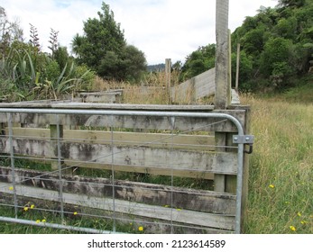 A Farm Gate And Holding Pen In The Long Grass