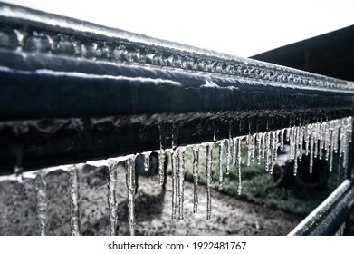 Farm Gate with melting icicles