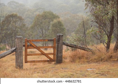 Farm Gate In The Mist