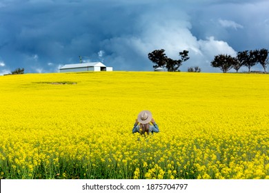 Farm Girl  Amidst A  Flowering Field Of Canola With Storm Clouds Looming Overhead