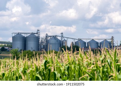 Farm grain silos for agriculture. Storage and drying of grains, wheat, sunflower, corn and soy.