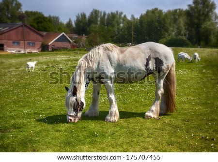 Similar – Image, Stock Photo Moldy Environment Nature