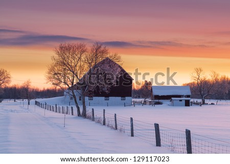 Farm house and barn on early morning winter landscape