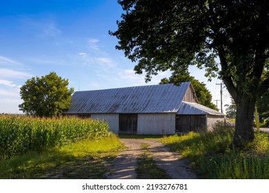 Farm House With Corn Field.