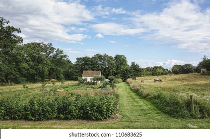 Farm House In Denmark, With Horses And Machines