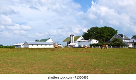 farm house with field and silo in beautiful landscape - Powered by Shutterstock