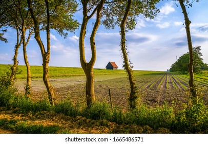 Farm House Field In Spring Scene