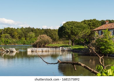 Farm House Inside The Grado Lagoon With A Water Channel, Grado, Gorizia