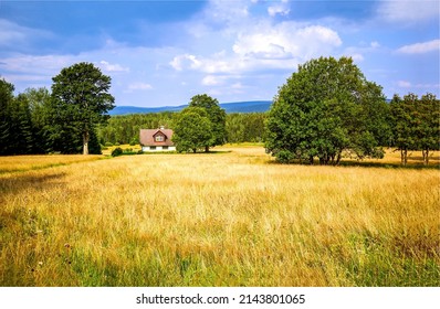 Farm house in the middle of a field. Farm house on farmland in forest field. Landscape of farm land. Agricultural farm field landscape