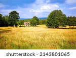 Farm house on farmland in forest field