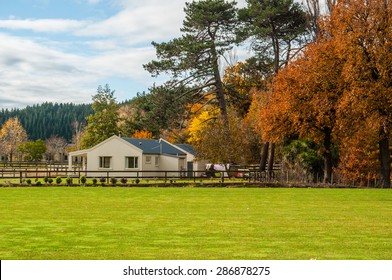 Farm House In Rural Hawkes Bay, New Zealand, With Autumn Colour