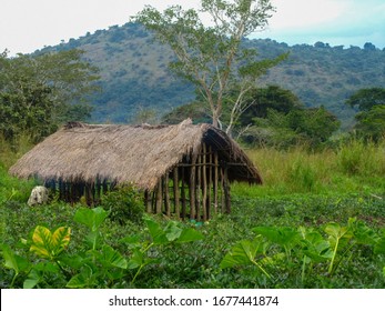 3,070 Subsistence agriculture Images, Stock Photos & Vectors | Shutterstock