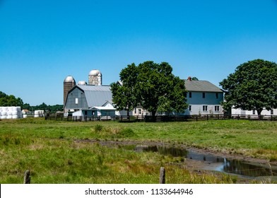 Farm Kent County Delaware