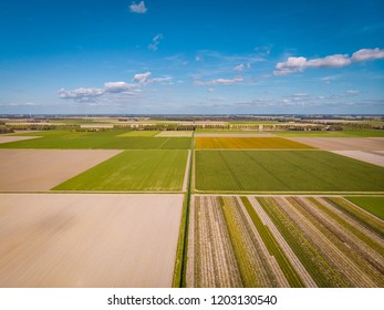 Farm Land Aerial View From Above Netherlands Noordoostpolder Flevoland, Drone View Ladnscape 