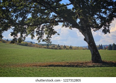 Farm Land In Beaverton , Oregon