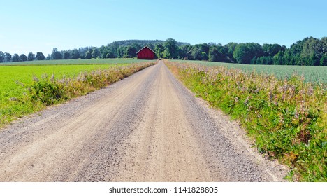  Farm Land With Field Road In Summer At The South Of Sweden