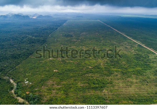 Farm land next to\
Jungle aerial survey