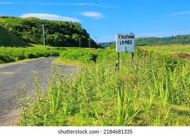 Farm Lands On The Inner Hebrides Island Mull