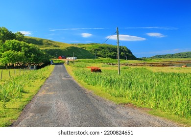 Farm Lands On The Inner Hebrides Island Mull