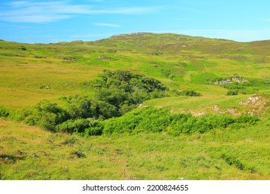 Farm Lands On The Inner Hebrides Island Mull