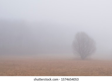 Farm Landscape With Fog Negative Space