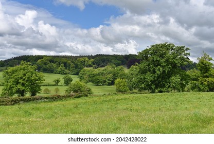 Landschaft mit grünen Feldern und blauer bewölkter Himmel über