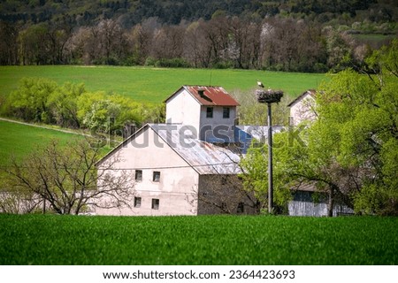Farm landscape and stork in the nest, beautiful spring photo with green meadows and blooming flowers