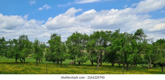 Farm Lanscape In Baden Wuerttemberg Germany