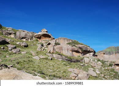 Farm Lanscape In The Eastern Cape Region, South Africa