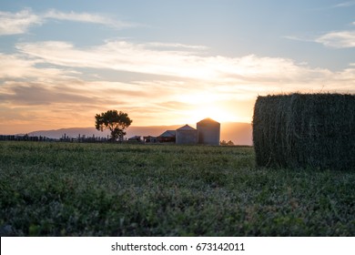 Farm Life