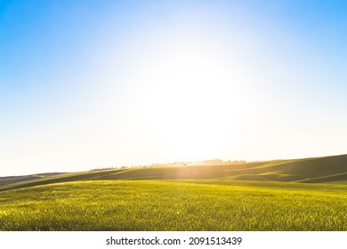 Farm Pastures Outside Of Moscow, Idaho.