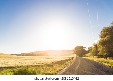 Farm Pastures Outside Of Moscow, Idaho.