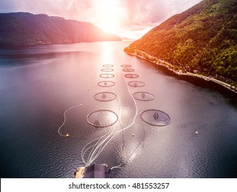 Farm Salmon Fishing In Norway Aerial Photography.