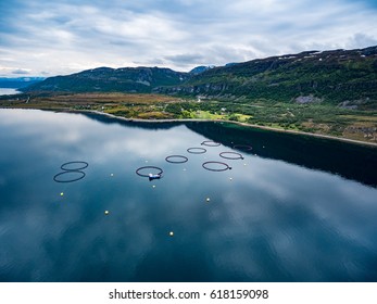 Farm Salmon Fishing In Norway Aerial Photography.