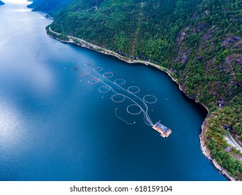 Farm Salmon Fishing In Norway Aerial Photography.