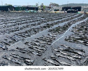 The Farm I Saw At The Kelp Farm.