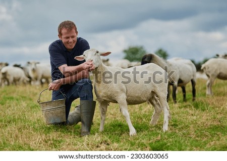 Farm, sheep and feeding with man in field for agriculture, sustainability and animal care. Labor, ecology and summer with male farmer in countryside meadow for cattle, livestock and lamb pasture Stock foto © 