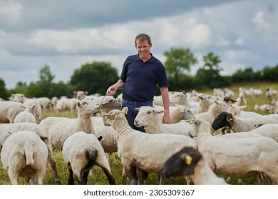 Farm, sheep and happy with man in field for agriculture, sustainability and animal care. Labor, ecology and summer with male farmer in countryside meadow for cattle, livestock and lamb pasture - Powered by Shutterstock