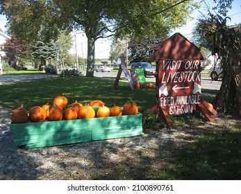 Farm Stand Sign With Livestock And Pumpkins