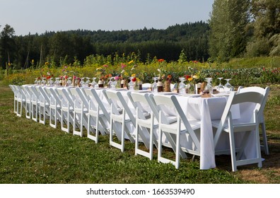 Farm To Table Dinner In The Field 