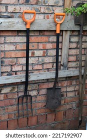 Farm Tool Pitchfork And Two Shovels Against Old Wooden Wall Use As Rural Farm Scene