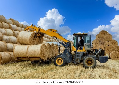 Farm Tractor Unloads Straw Bales From Truck. Heaps Of Wheat Straw On The Farm. Wheat Straw Can Be Used As Fuel, As Animal Feed And As Raw Material For Paper.